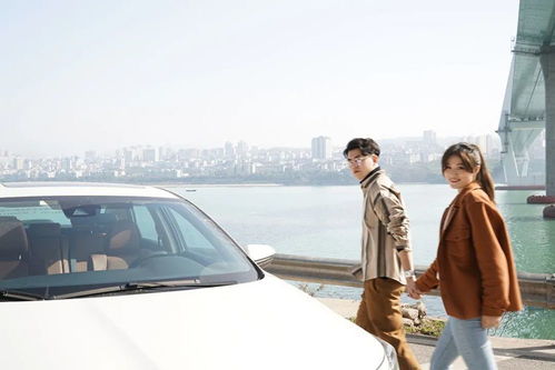 小鎮(zhèn)青年張玖零的“催婚彈”智能交通圖